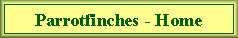 Link - Website - Home