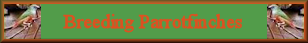 Link - parrot-finches.com